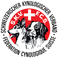 Logo FCS - SKV